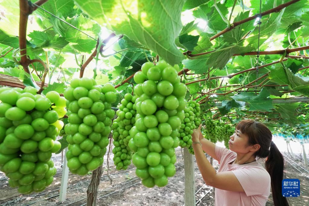 新濠天地平台注册